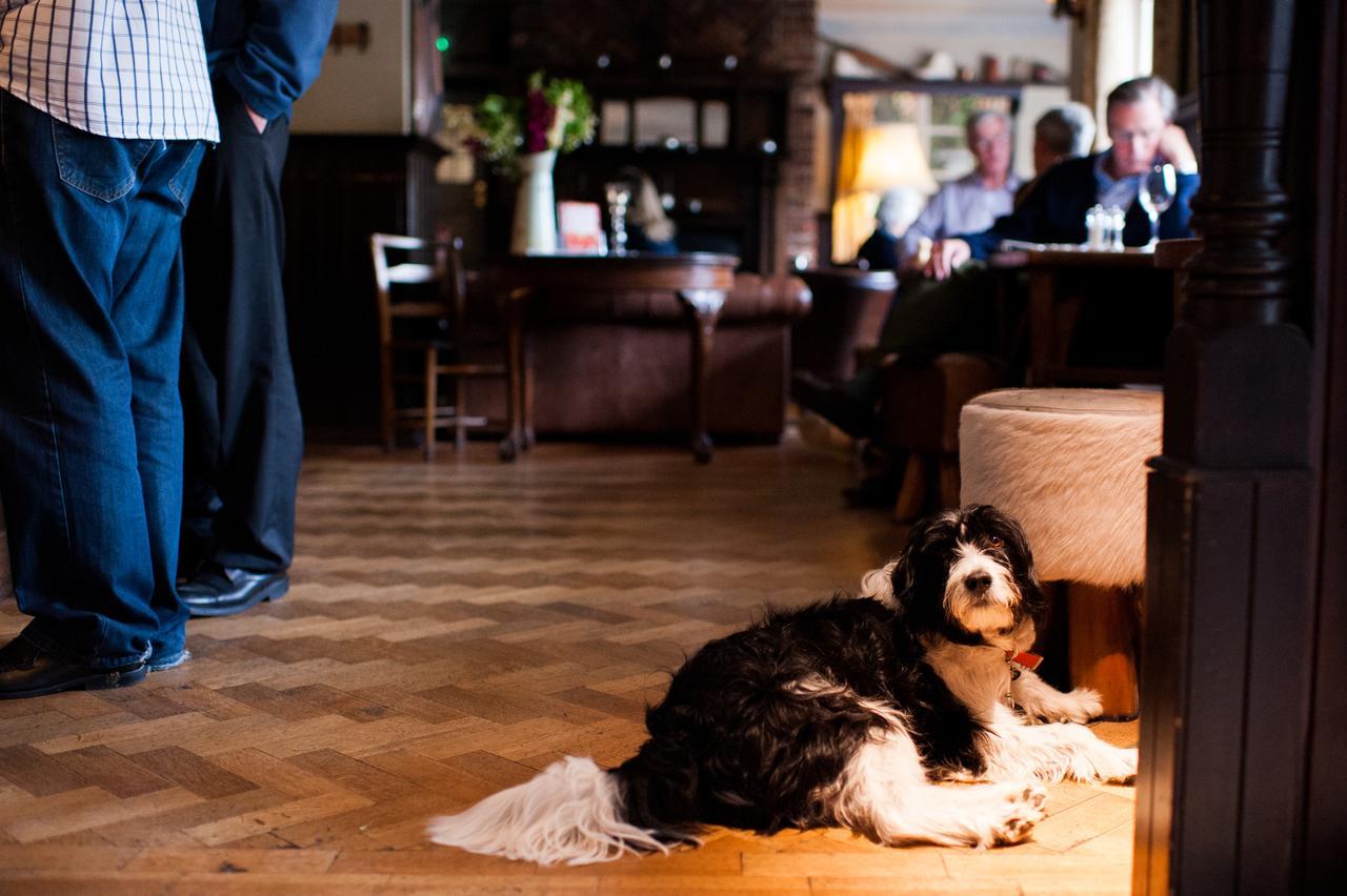 The Thomas Lord Hotel West Meon Buitenkant foto